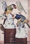 Meissen 1970 2.jpg